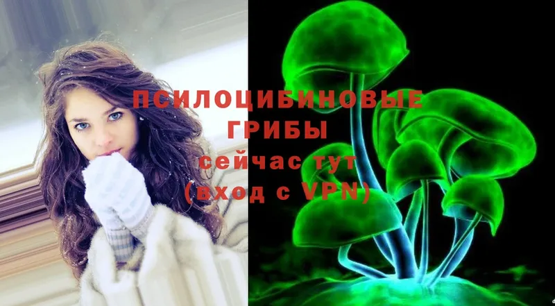 Псилоцибиновые грибы MAGIC MUSHROOMS  MEGA вход  Бугульма  наркотики 